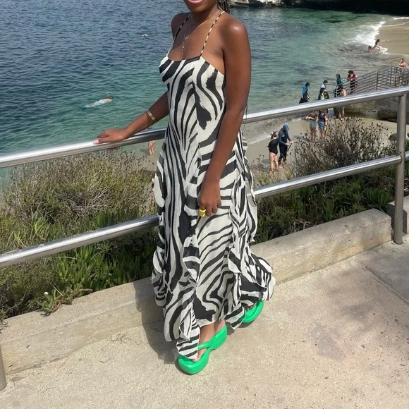 chinese dress ladies H&M Black Cream Zebra Animal Print V Neck Twist Long Sleeve Maxi Dress   Brie